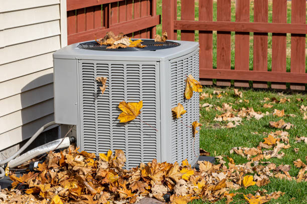 Best HVAC Tune-Up Services  in Vassar, MI